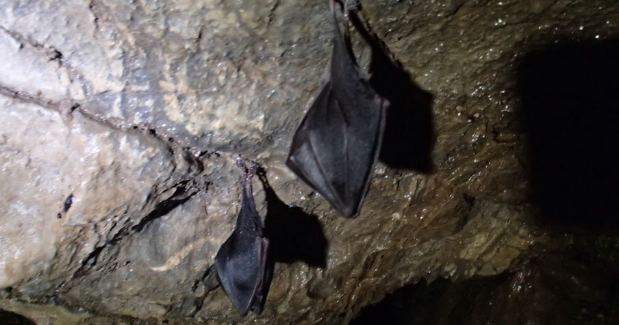 Adventure Caving in Somerset