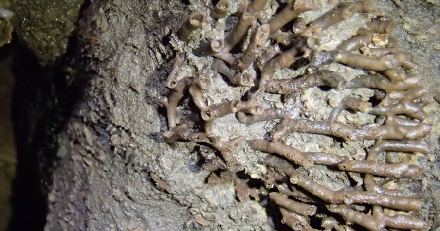 Adventure Caving in Somerset